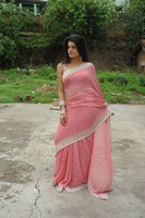 Tashu Kaushik Saree Photos
